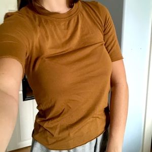 Zara Beige/Brown Mid arm length top